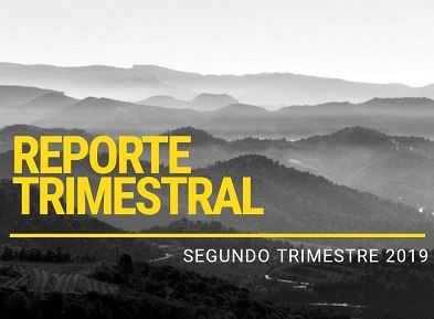 REPORTE TRIMESTRAL